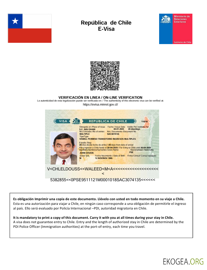 Modèle de visa électronique pour le Chili aux formats Word et PDF